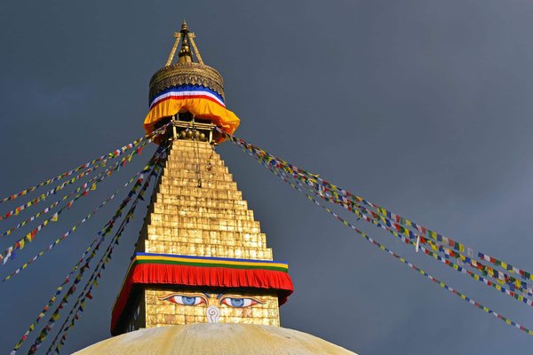 Découvrez les Meilleurs Livres sur le Bouddhisme