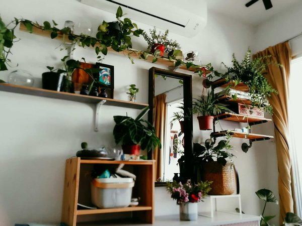 Quelles sont les techniques pour fixer solidement des étagères murales?