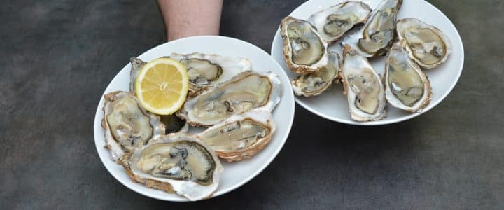 Comment choisir la bonne baie de serveur pour votre entreprise ?